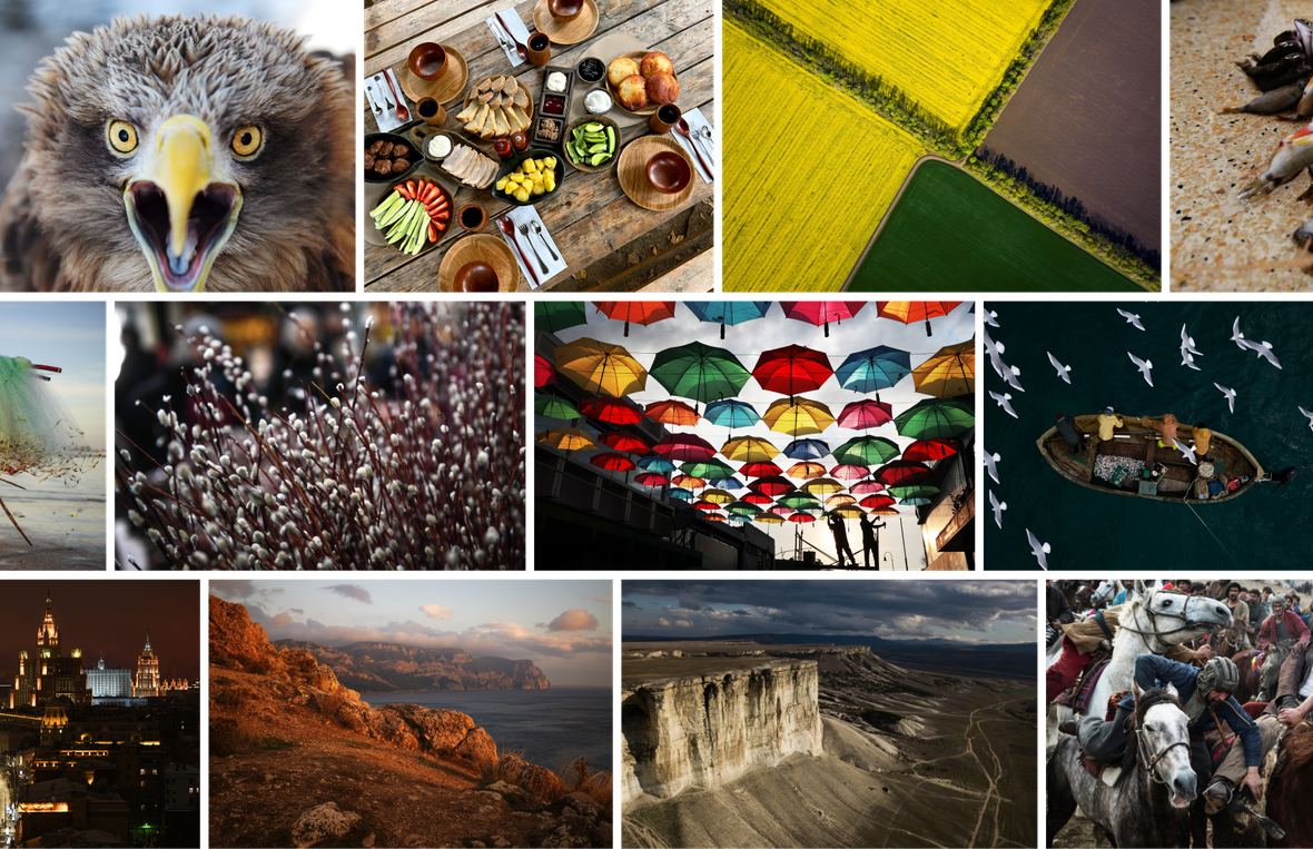 Стоковые фото мозаика - “今日俄罗斯”国际通讯社, 1180, 25.02.2026